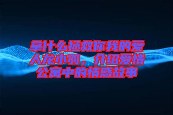 拿什么拯救你我的愛人龍小羽，介紹愛情公寓中的情感故事