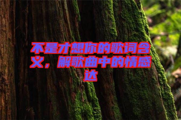 不是才想你的歌詞含義，解歌曲中的情感達(dá)