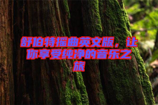 舒伯特?fù)u曲英文版，讓你享受純凈的音樂之旅