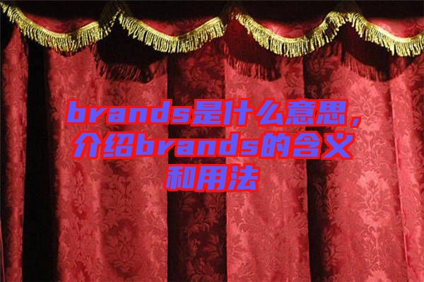 brands是什么意思，介紹brands的含義和用法