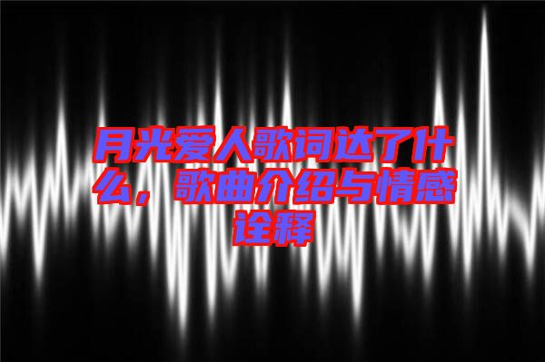 月光愛人歌詞達(dá)了什么，歌曲介紹與情感詮釋