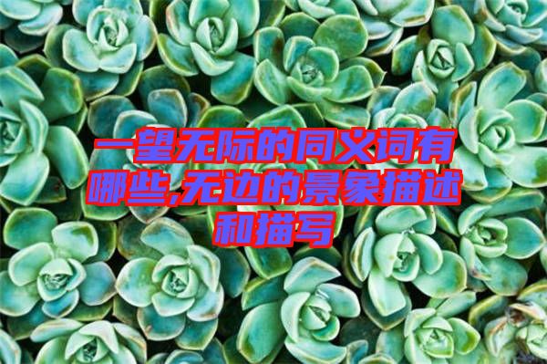 一望無(wú)際的同義詞有哪些,無(wú)邊的景象描述和描寫(xiě)