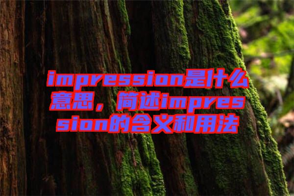 impression是什么意思，簡述impression的含義和用法