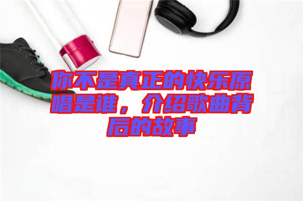 你不是真正的快樂原唱是誰，介紹歌曲背后的故事