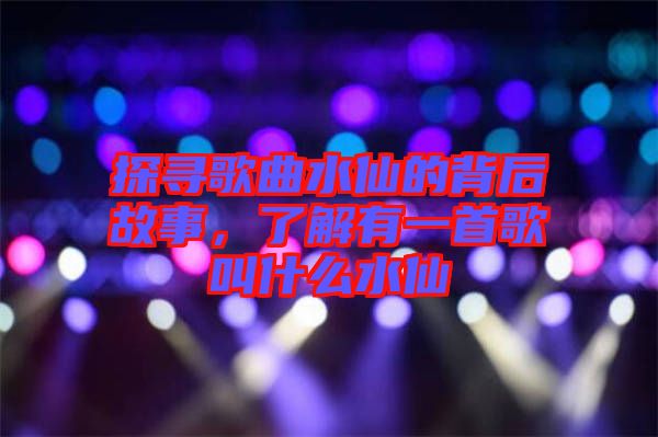 探尋歌曲水仙的背后故事，了解有一首歌叫什么水仙