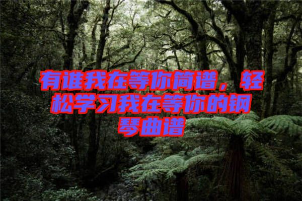 有誰我在等你簡譜，輕松學(xué)習(xí)我在等你的鋼琴曲譜