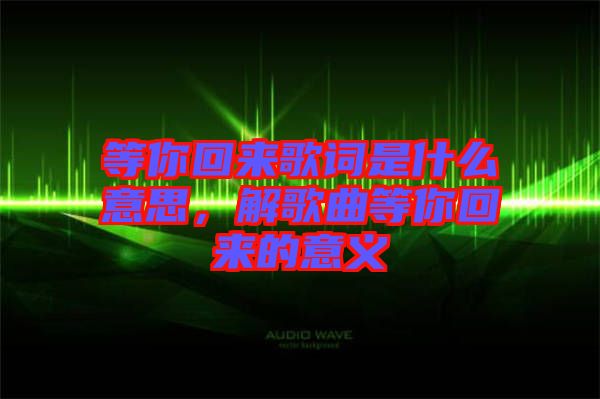 等你回來歌詞是什么意思，解歌曲等你回來的意義