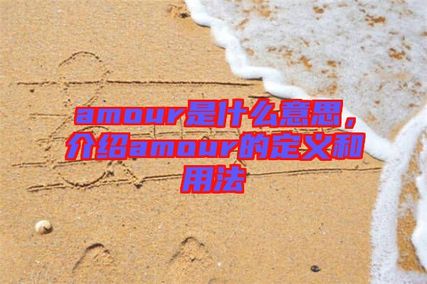 amour是什么意思，介紹amour的定義和用法