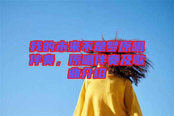 我的未來不是夢(mèng)原唱伴奏，原唱伴奏及歌曲介紹