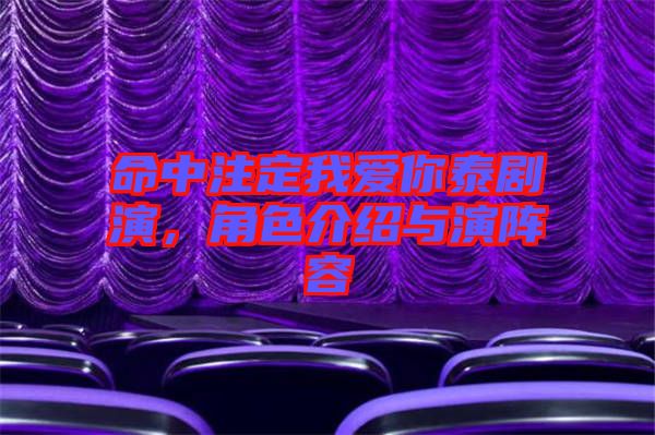 命中注定我愛你泰劇演，角色介紹與演陣容