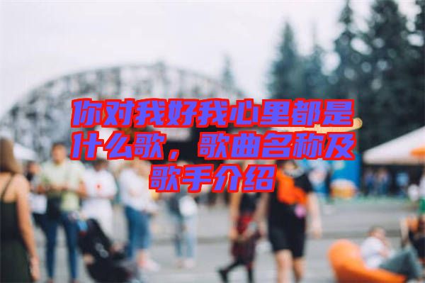 你對(duì)我好我心里都是什么歌，歌曲名稱及歌手介紹