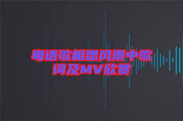 粵語歌相思風(fēng)雨中歌詞及MV欣賞