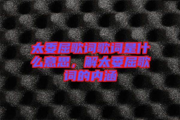 太委屈歌詞歌詞是什么意思，解太委屈歌詞的內(nèi)涵