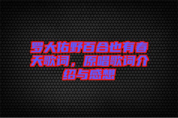 羅大佑野百合也有春天歌詞，原唱歌詞介紹與感想