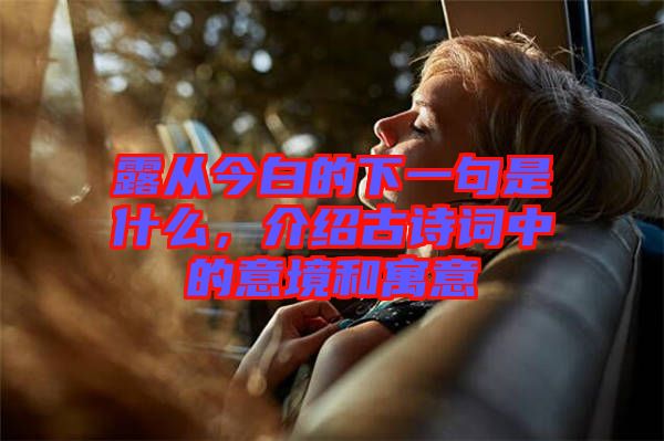 露從今白的下一句是什么，介紹古詩詞中的意境和寓意