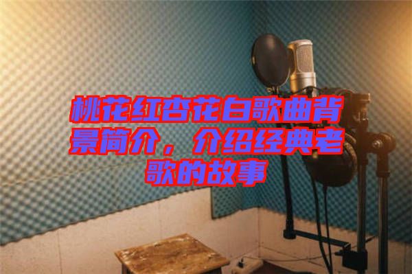 桃花紅杏花白歌曲背景簡(jiǎn)介，介紹經(jīng)典老歌的故事