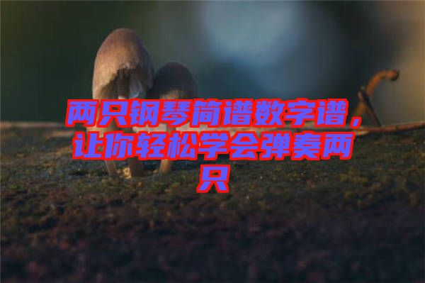 兩只鋼琴簡(jiǎn)譜數(shù)字譜，讓你輕松學(xué)會(huì)彈奏兩只