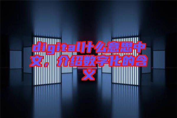 digital什么意思中文，介紹數(shù)字化的含義