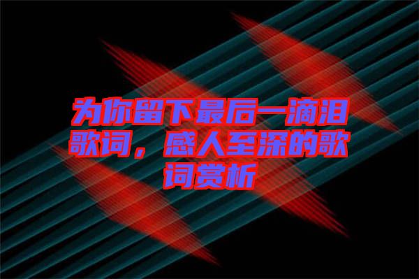 為你留下最后一滴淚歌詞，感人至深的歌詞賞析