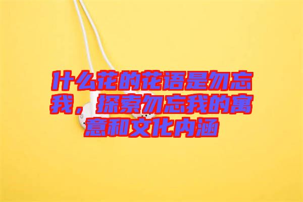 什么花的花語(yǔ)是勿忘我，探索勿忘我的寓意和文化內(nèi)涵