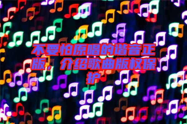 不要怕原唱的諧音正版，介紹歌曲版權(quán)保護(hù)