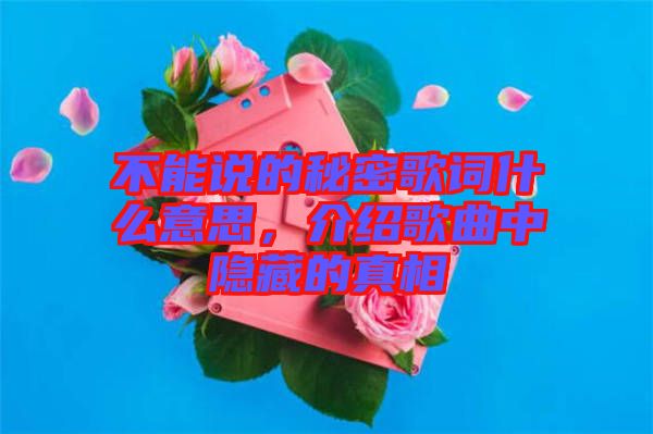 不能說(shuō)的秘密歌詞什么意思，介紹歌曲中隱藏的真相