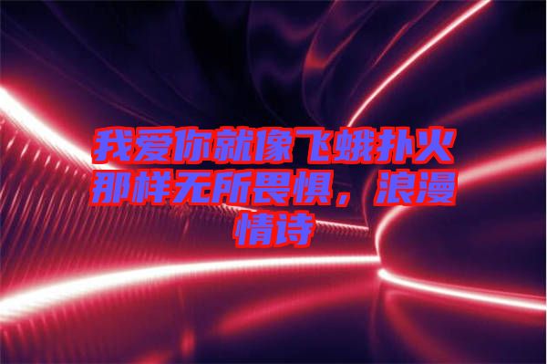 我愛你就像飛蛾撲火那樣無所畏懼，浪漫情詩