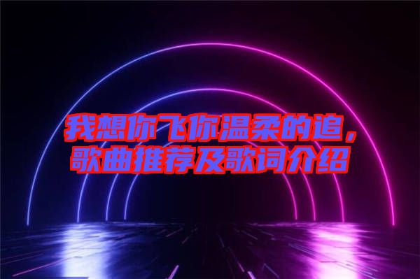 我想你飛你溫柔的追，歌曲推薦及歌詞介紹