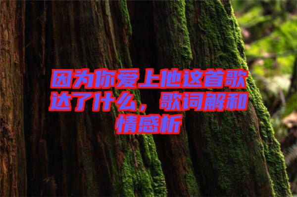 因?yàn)槟銗凵纤@首歌達(dá)了什么，歌詞解和情感析