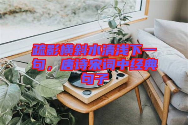 疏影橫斜水清淺下一句，唐詩宋詞中經(jīng)典句子