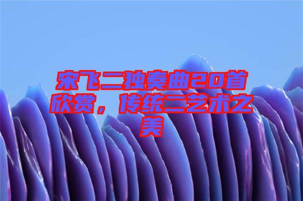 宋飛二獨奏曲20首欣賞，傳統(tǒng)二藝術(shù)之美