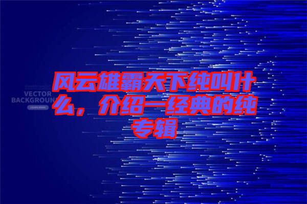 風(fēng)云雄霸天下純叫什么，介紹一經(jīng)典的純專輯