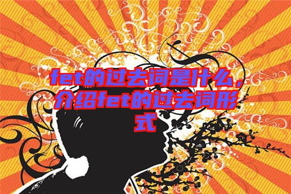 fet的過去詞是什么，介紹fet的過去詞形式