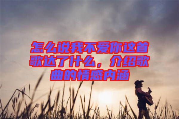 怎么說我不愛你這首歌達了什么，介紹歌曲的情感內(nèi)涵