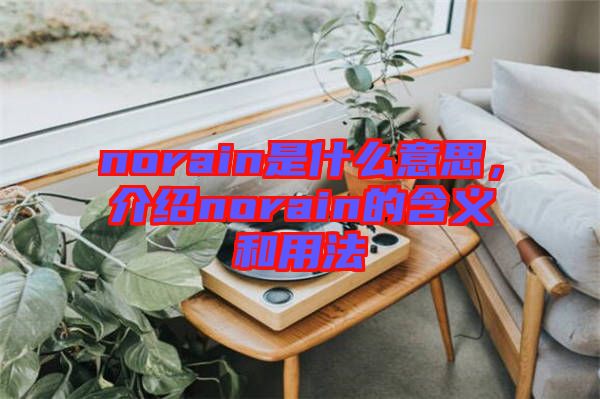 norain是什么意思，介紹norain的含義和用法