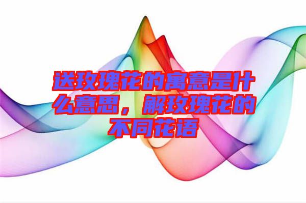 送玫瑰花的寓意是什么意思，解玫瑰花的不同花語