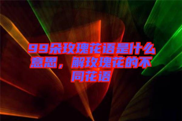 99朵玫瑰花語是什么意思，解玫瑰花的不同花語