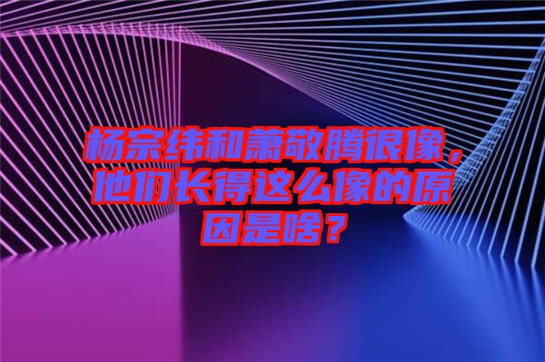 楊宗緯和蕭敬騰很像，他們長得這么像的原因是啥？