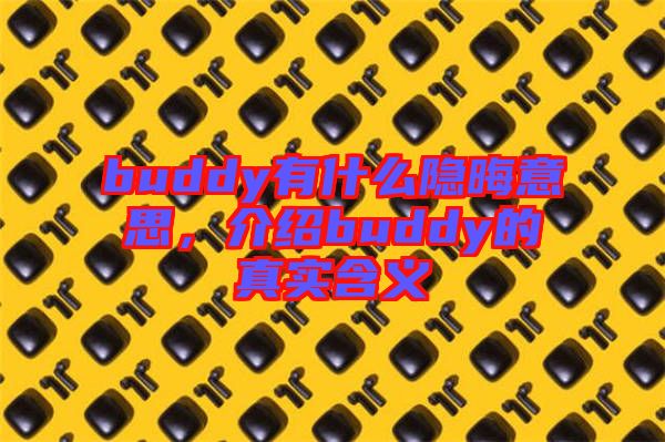 buddy有什么隱晦意思，介紹buddy的真實(shí)含義