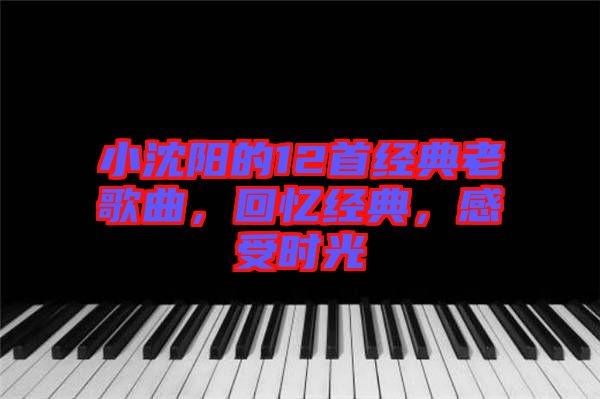 小沈陽的12首經(jīng)典老歌曲，回憶經(jīng)典，感受時光