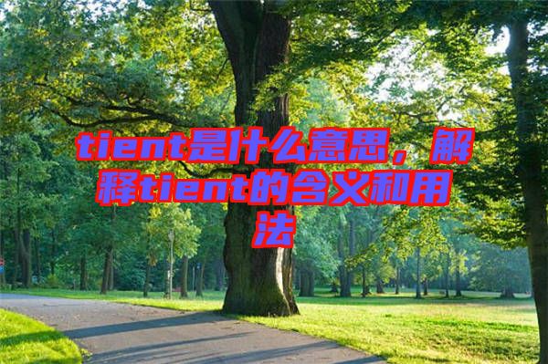 tient是什么意思，解釋tient的含義和用法