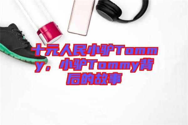 十元人民小驢Tommy，小驢Tommy背后的故事