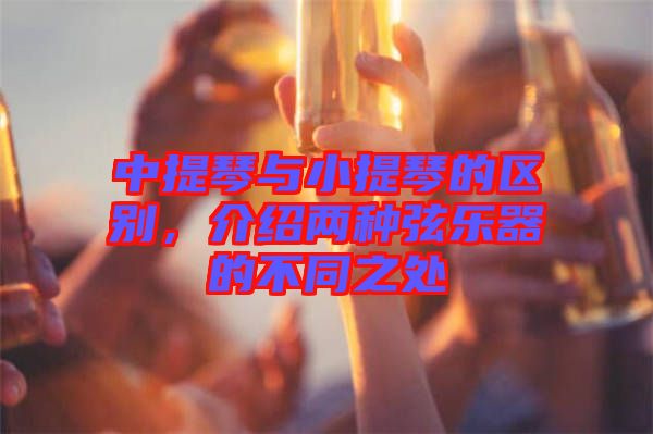 中提琴與小提琴的區(qū)別，介紹兩種弦樂(lè)器的不同之處