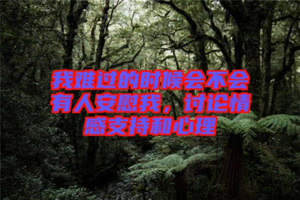 我難過(guò)的時(shí)候會(huì)不會(huì)有人安慰我，討論情感支持和心理