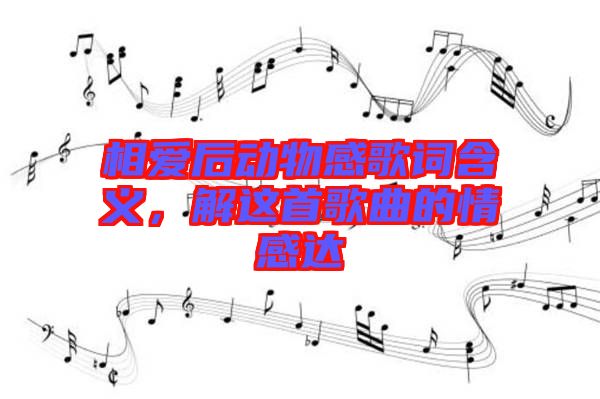 相愛后動(dòng)物感歌詞含義，解這首歌曲的情感達(dá)