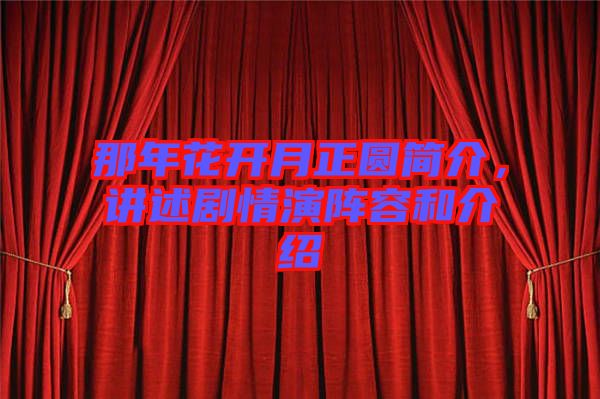 那年花開月正圓簡介，講述劇情演陣容和介紹