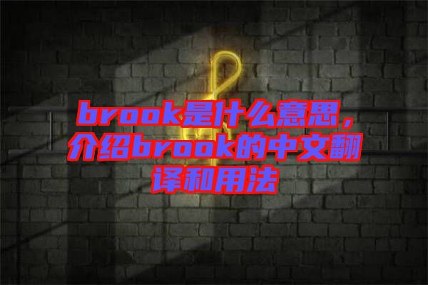 brook是什么意思，介紹brook的中文翻譯和用法