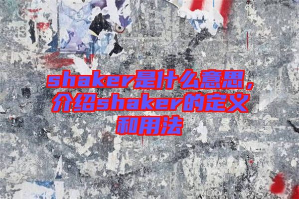 shaker是什么意思，介紹shaker的定義和用法