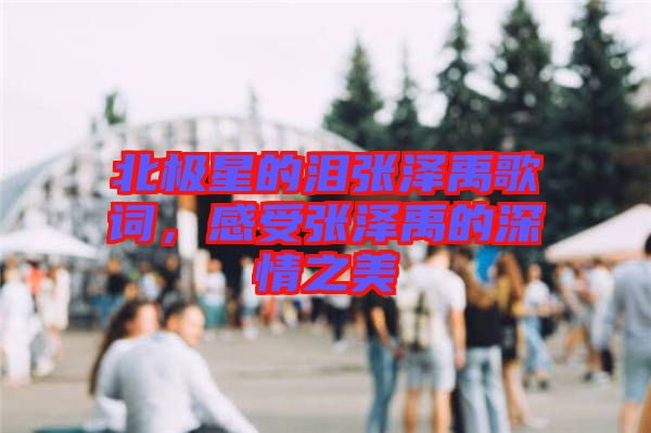 北極星的淚張澤禹歌詞，感受張澤禹的深情之美