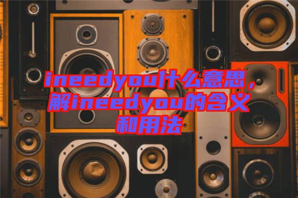 ineedyou什么意思，解ineedyou的含義和用法